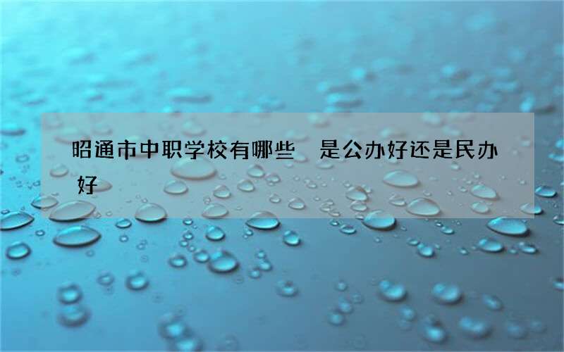 昭通市中职学校有哪些 是公办好还是民办好